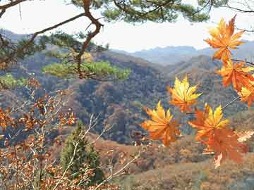 保山最新医保卡提现方法支付宝方法分析(最方便真实的保山医保卡提现方法支付宝嶶新qw413612助君取出方法)