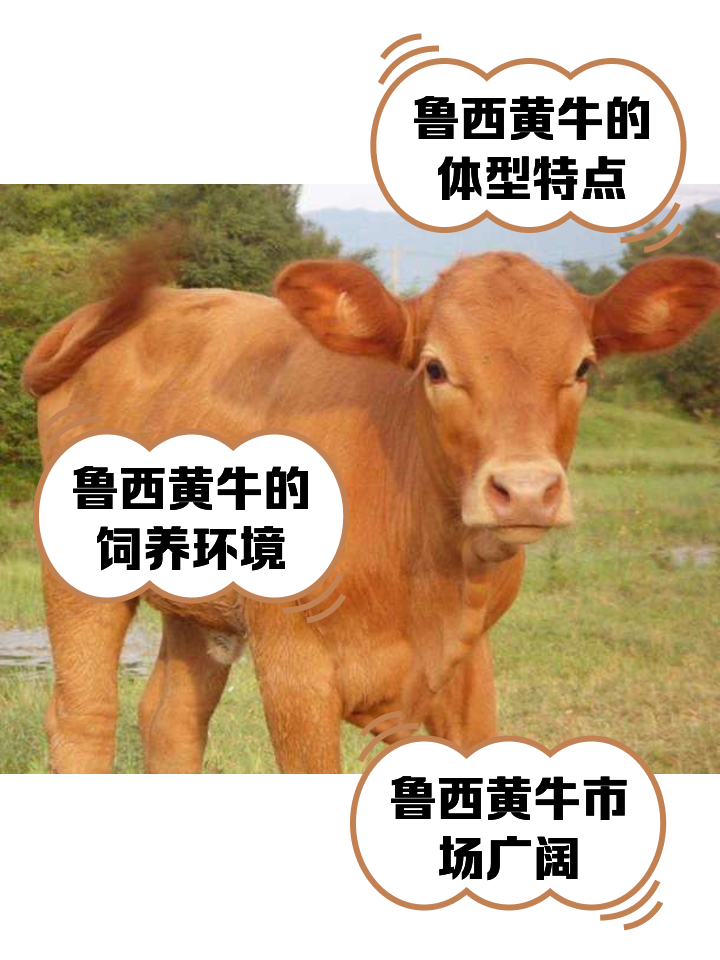 保山最新医保取现黄牛方法分析(最方便真实的保山医保取现黄牛怎么取方法)